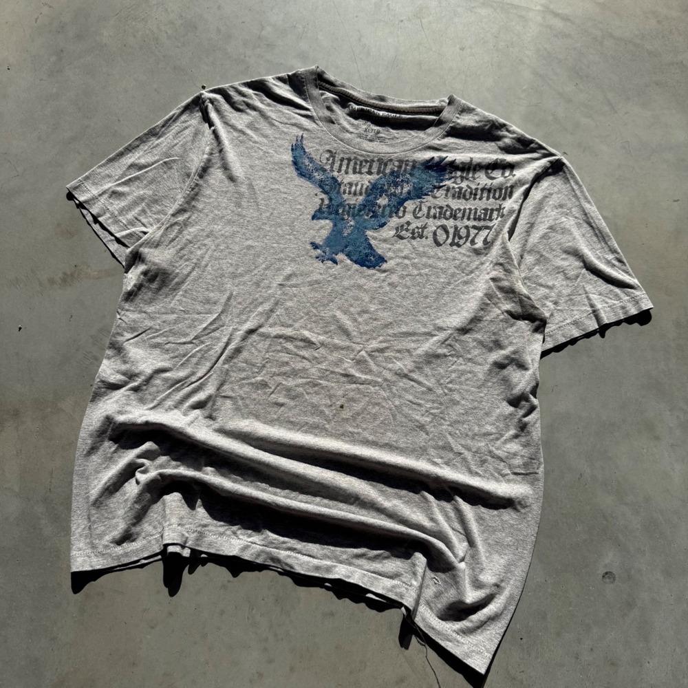 American‎ Eagle Outfitters Mens XL Gray Graphic T-Shirt Blue Eagle Logo Est 1977